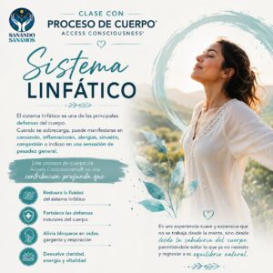 sistema linfatico